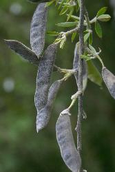 Image: Trevor James © Trevor James 